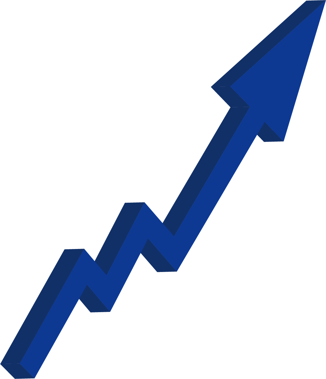 Vision de la empresa